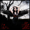 Dark Angel 28202198