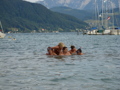 am Attersee 29884364