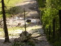 **Wildpark Grünau** 38070087