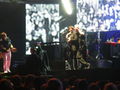 Ärzte Konzert in Linz 2009 65626610