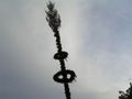 Maibaum aufstellen 46121298