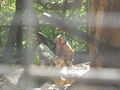 Katzi und Tierpark 38020763