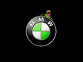 BmW__ 36031861