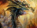 Drachen 28265334