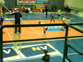 volleyball  34017076