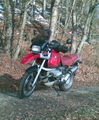 Motorrad 49413094