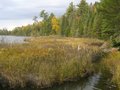 Fall Colour Backpackng Trip 29015492