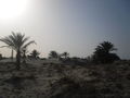 Insel Djerba - Traumurlaub . 64137755