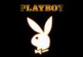 PlayboY 30299313