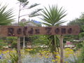 Urlaub in Tunesien  59104647