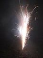 Silvester 2009 70617275