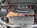 Wildgulasch ala BMW 31324394