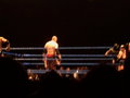 WWE in Wien 28410324