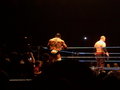 WWE in Wien 28410375