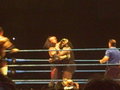 WWE in Wien 28410994