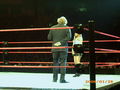 WWE in Linz 38335982