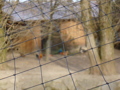 Wildpark Altenfelden 34091261