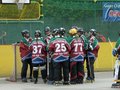 Inlinehockey 28728945