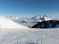 Saalbach Dez.2008-Jan.2009 51484650