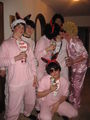 Fasching 2009 59851336