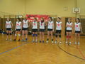 Volleyball 37200485