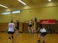 Volleyball 37200539