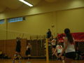 Volleyball 37200563