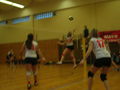 Volleyball 37200581