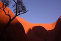 Uluru und Kata Tjuta 48626646