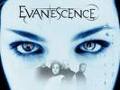 evanescence 30829555