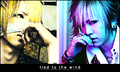 ReiTa [Reii] 28866496