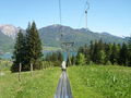 Sommerrodeln Beim Wolfgangsee 38101689