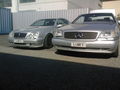 BENZ GANG *gg* 57508901