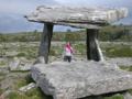 Tour: The Burren & Cliffs of Moher 30057083