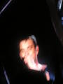 Robbie Williams Konzert 9047739