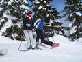 Skifahren Schladming 2009 55167088