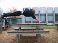 Le Parkour 29433615