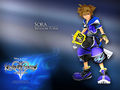 Kingdom Hearts 36596244