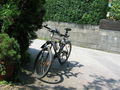 Bike 2009 64248124