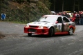 the best rallyedriver in town 29515287