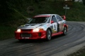 the best rallyedriver in town 29515314