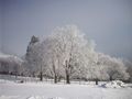 Winter 2008/2009 54647471