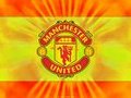 manchester united 11913760