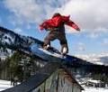 Snowboarder 34282494