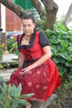 "dirndl" 74459499