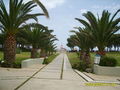 Kreta Juni 2008 48192626