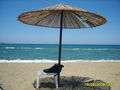 Kreta Juni 2008 48192757