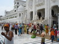 Amritsar 29457301