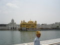 Amritsar 29457302