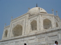 Taj 29562782